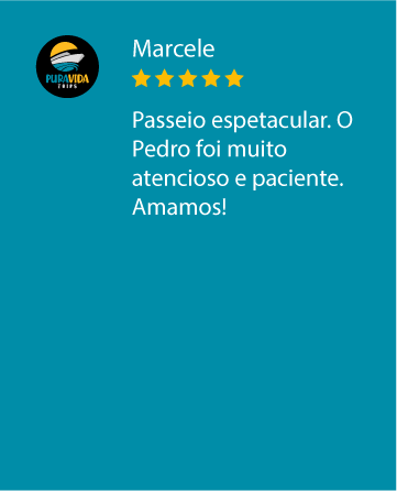 Prancheta 67 cópia 14.png