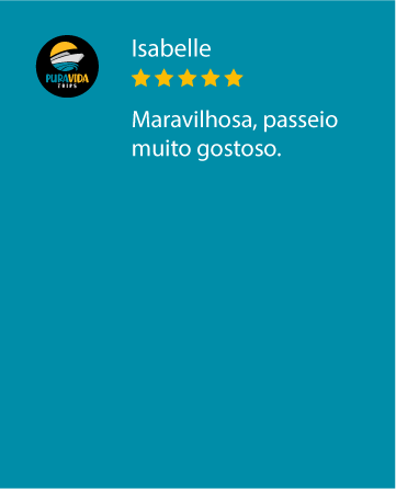 Prancheta 67 cópia 3.png