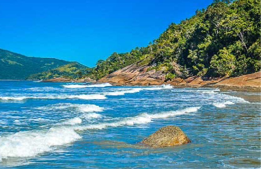 roteios pv_7fora.png