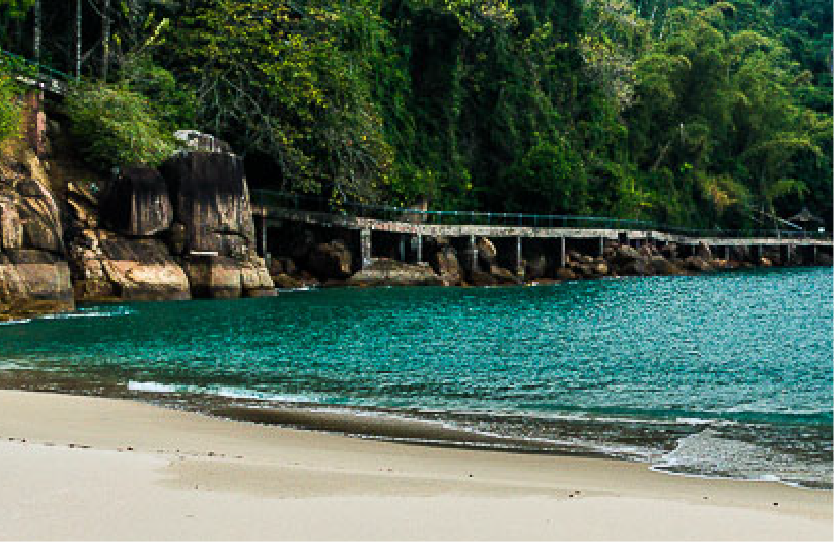 roteios pv_porcos p5.png