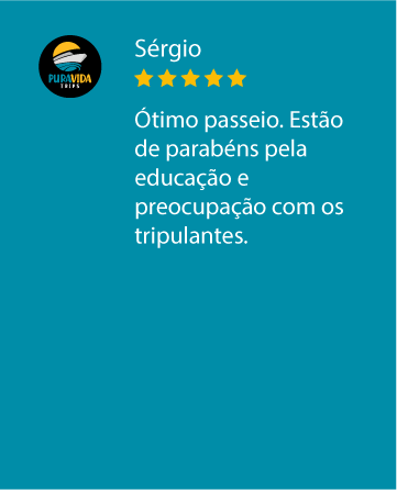 Prancheta 67 cópia 8.png